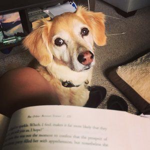 Meet your Posher, Maura